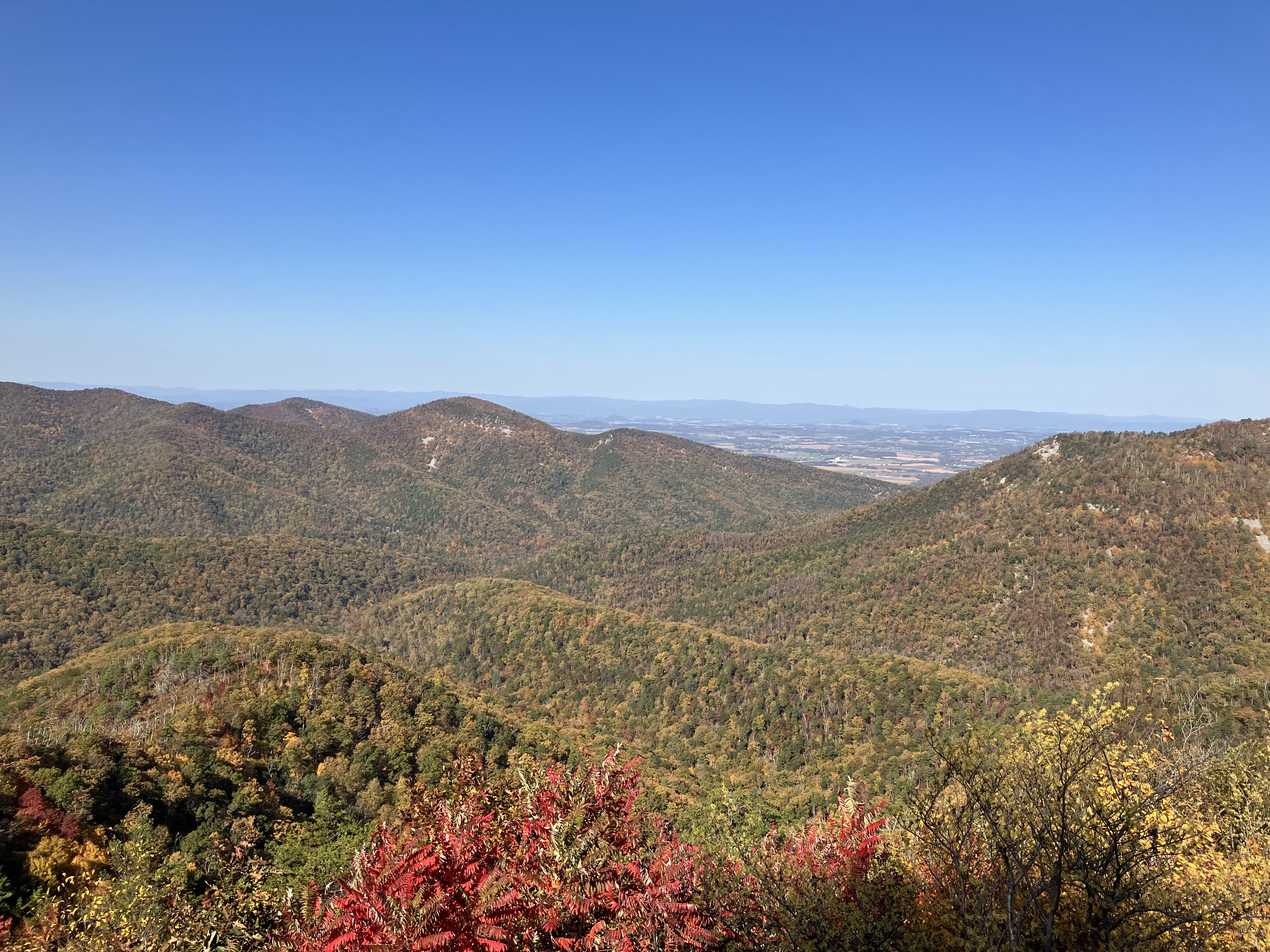 Mountain with fall colors in Shenandoah National Park.
